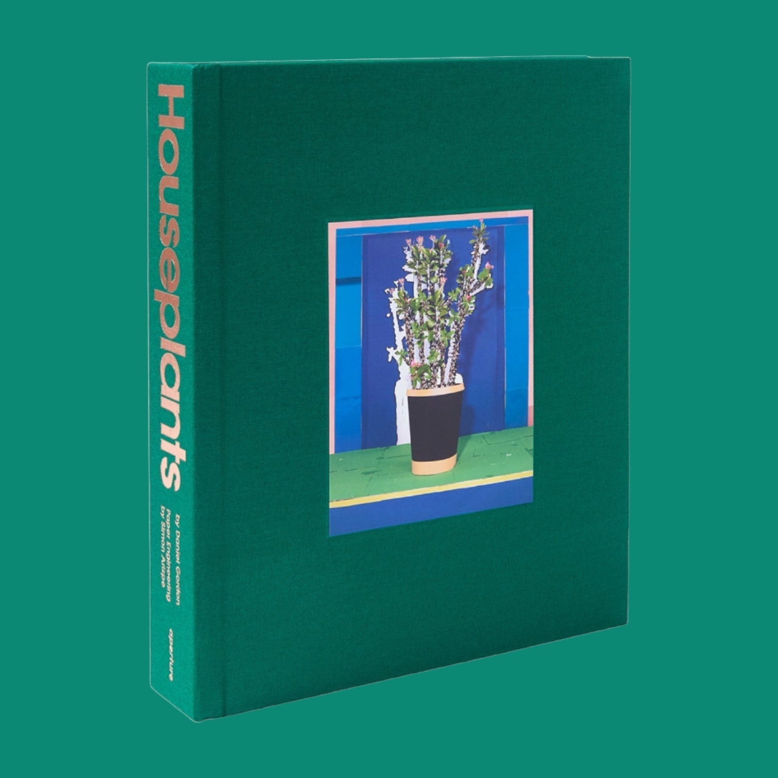 Houseplants by Daniel Gordon – Olio Music & Art
