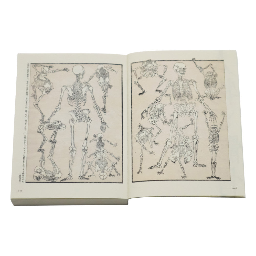 Open book showing illustrations of skeletons on a white background