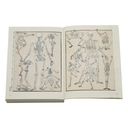 Open book showing illustrations of skeletons on a white background