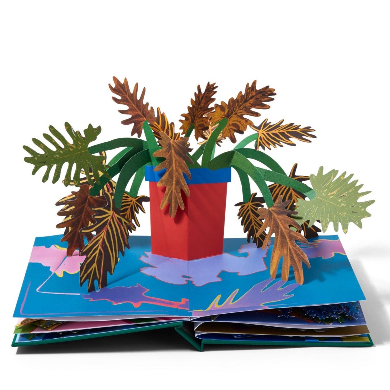 Daniel Gordon: Houseplants | Aperture