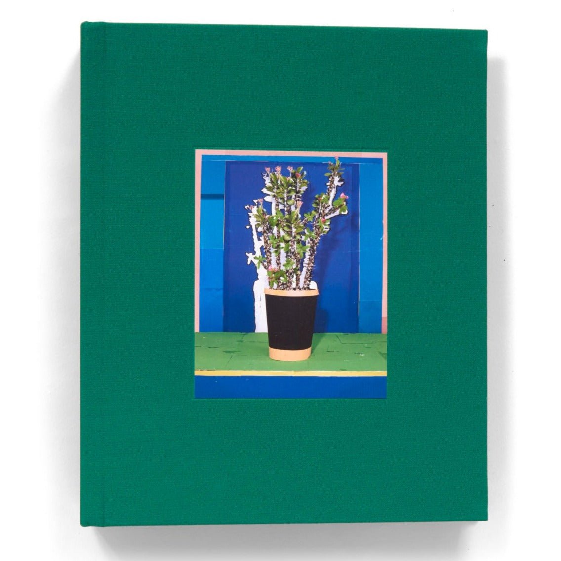 Houseplants by Daniel Gordon – Olio Music & Art